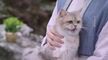 SUNT ANIMAL DE COMPANIE LA TEMPLUL DALI (2018) - EP20